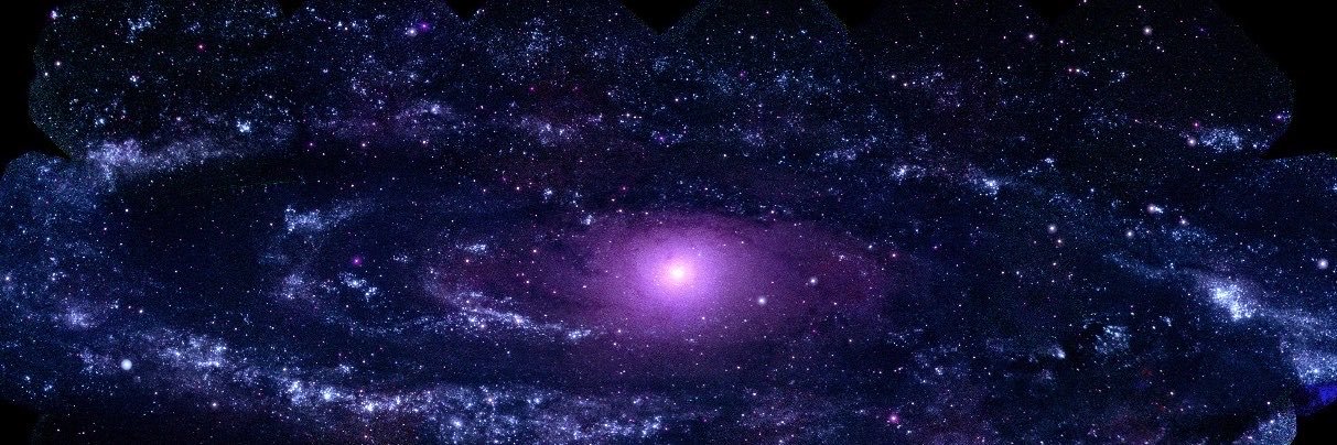 LisaMarie's banner