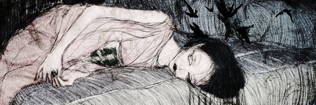 ǝɔıʇuǝ𓂀's banner