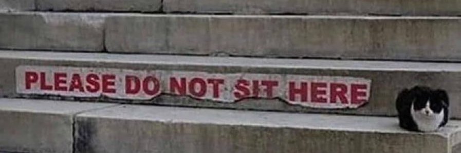Un être humain's banner