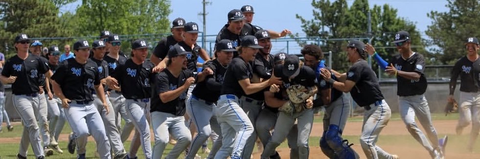 Southwestern Illinois College Baseball's banner