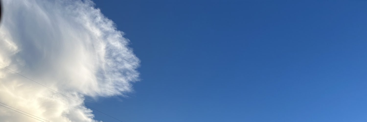 越前だいふく's banner