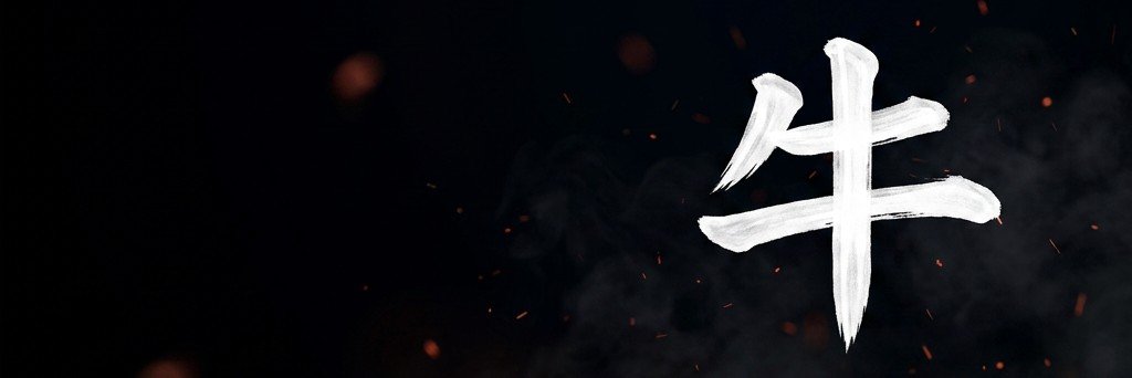 BULL's banner
