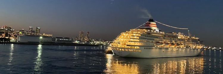 えみり🇸🇬's banner