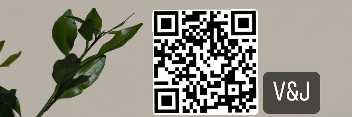 嘉義夫妻𝕍&𝕁's banner