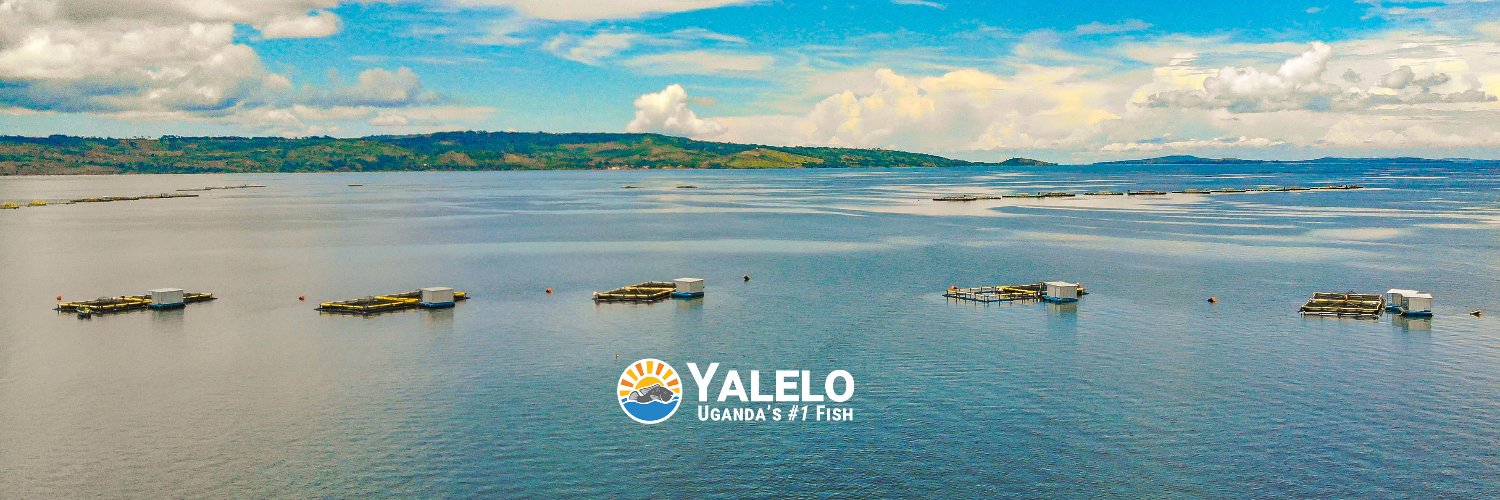 Yalelo Uganda 🐟's banner