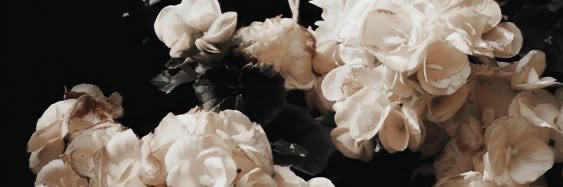 maria ☯︎ KARMA's banner
