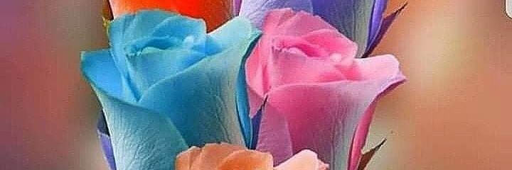 بعشق متعة النساء بالحب's banner