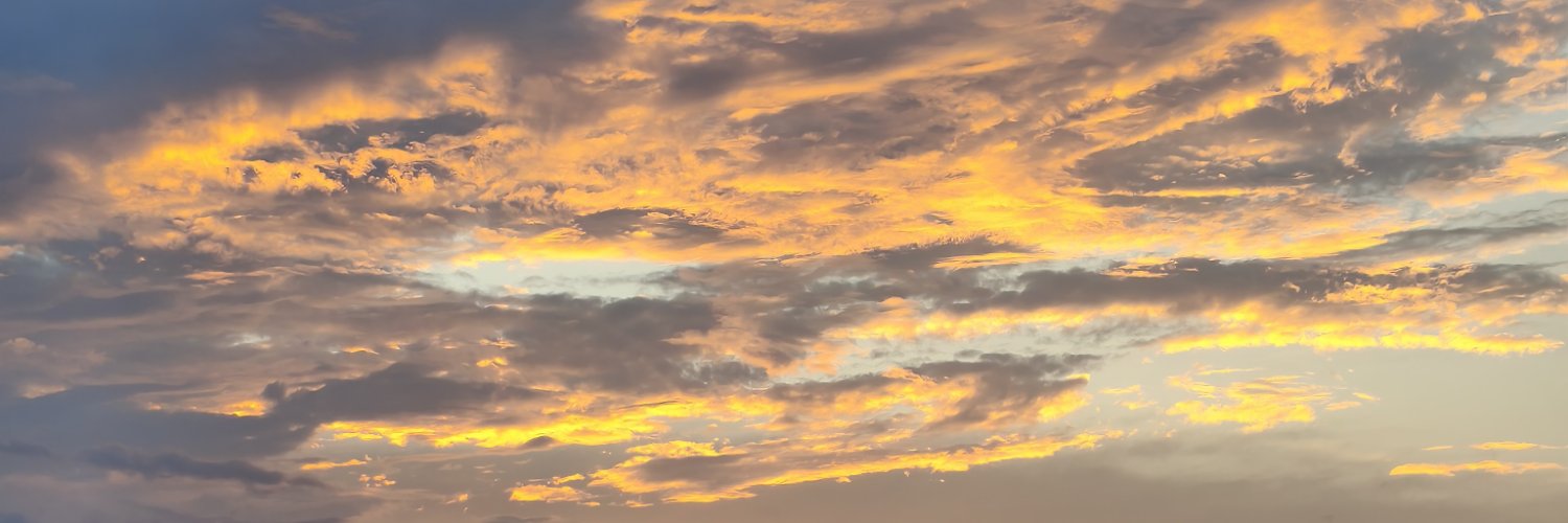 Chim cánh cụt 🐧's banner
