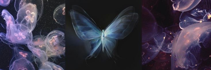 aeri's banner
