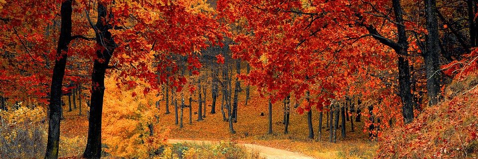 Generalê payîzê's banner