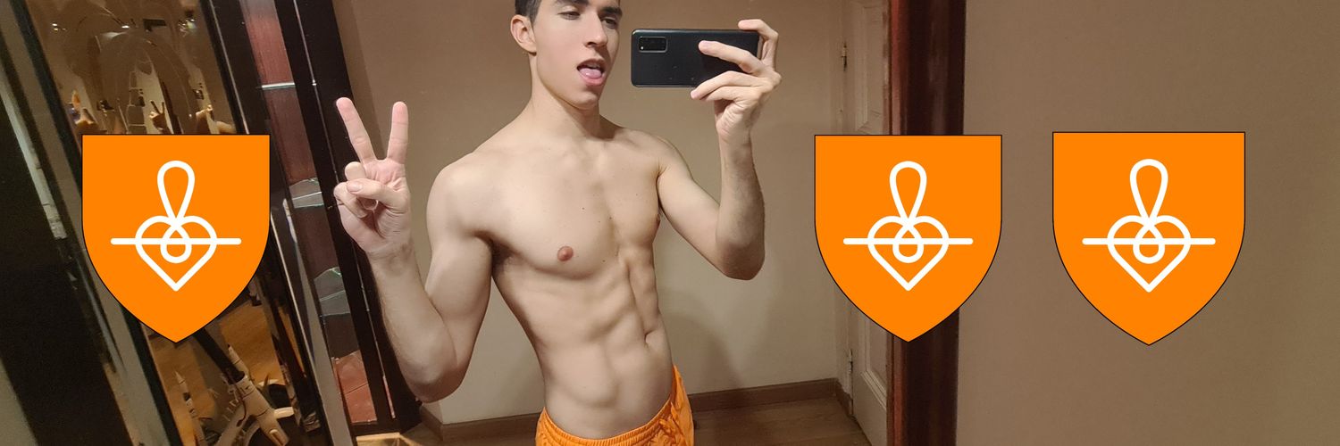 Victor de Orange's banner