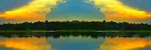 🌻Graziela🌻's banner