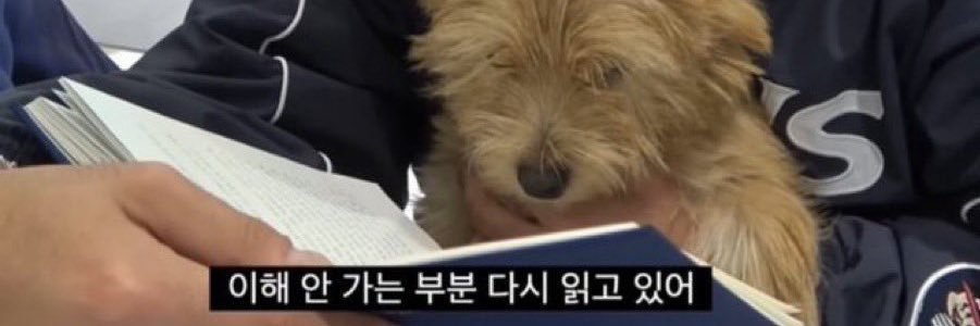 문상훈.mp4's banner