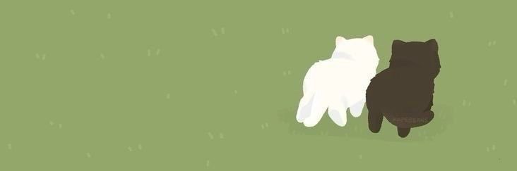 ₅'s banner