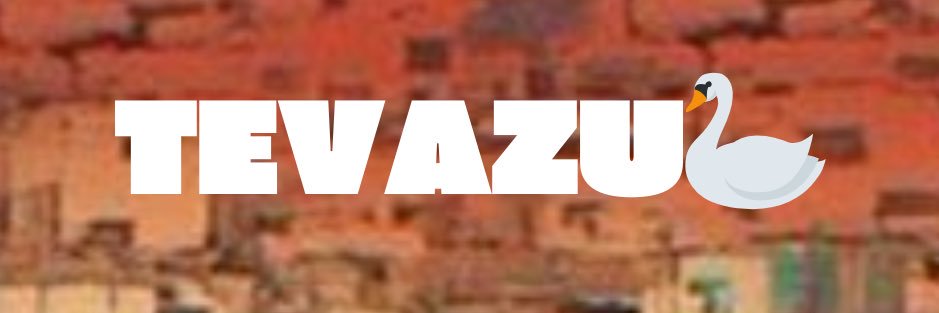 TEVAZU 🦢's banner