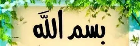 العلويه أم زينب's banner