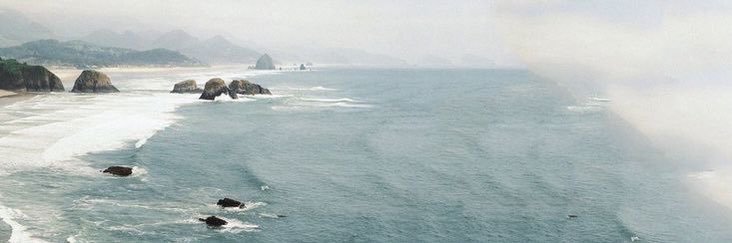 cin's banner