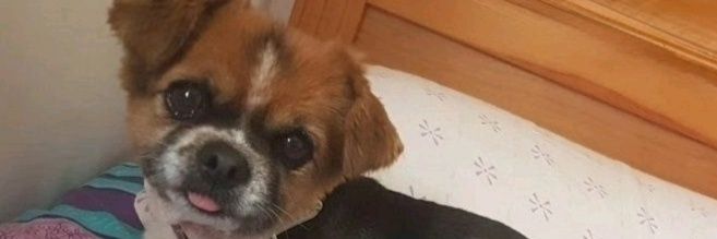 SRTA_DUDU's banner
