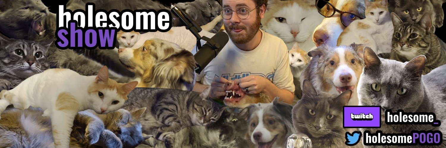 holesome's banner