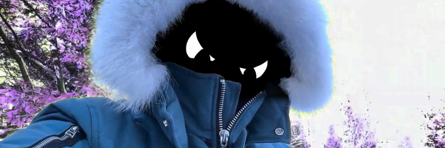 Snowball❄️🌨️☃️'s banner