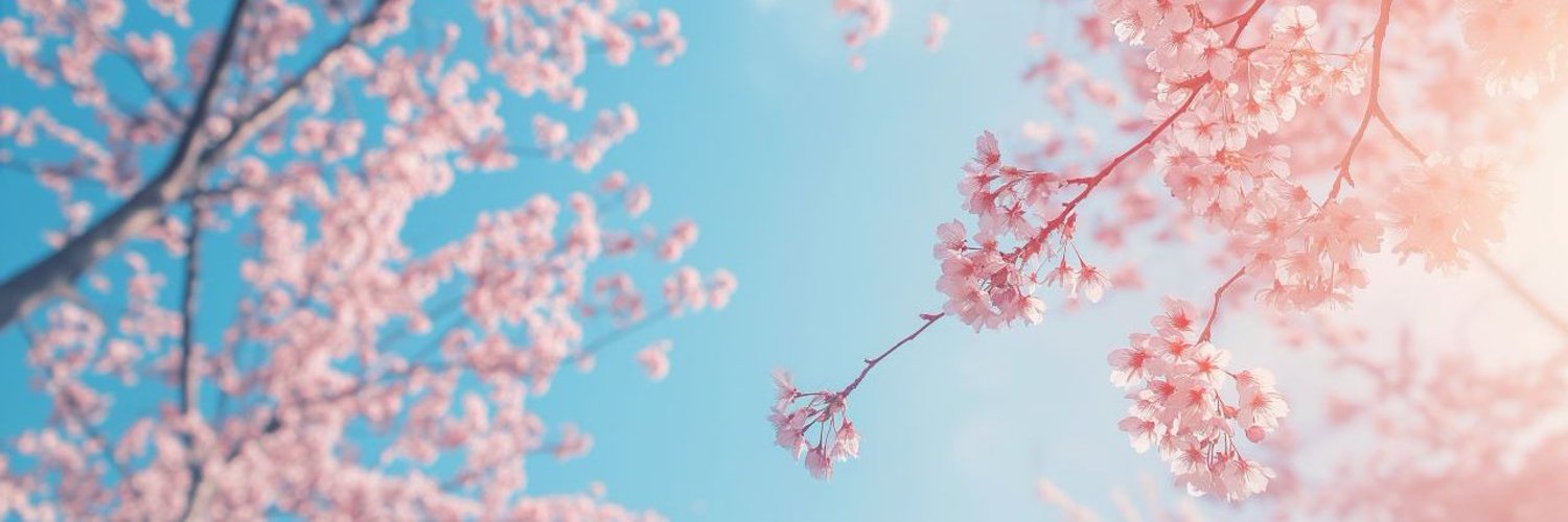 JAPANFESS's banner