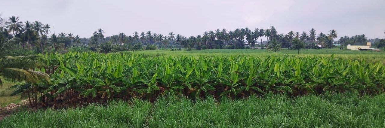 Elamaaran palanisamy's banner