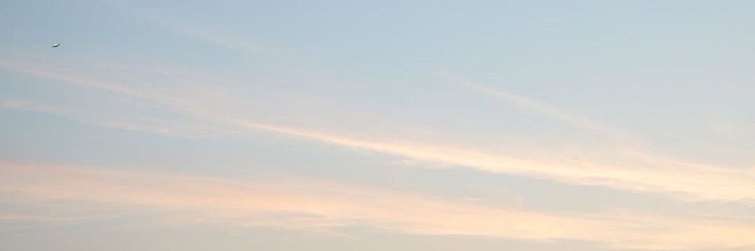 Aliae's banner
