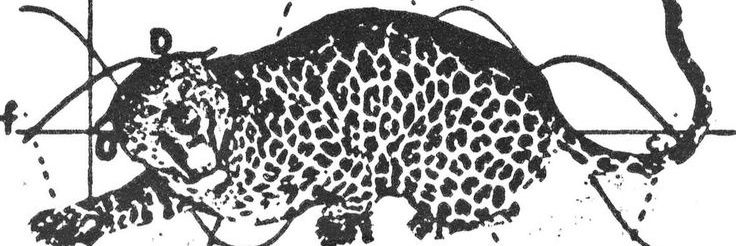 ♡ॢ₍⸍⸌̣ʷ̣̫⸍̣⸌₎THEY/THEM🐆🐾's banner