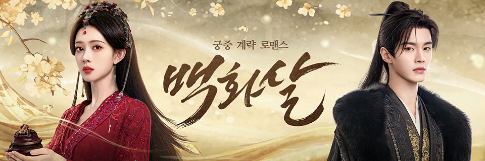 중화TV's banner