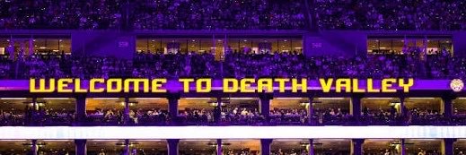 BAYOU GANGSTA's banner