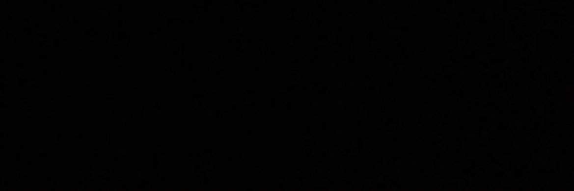 Wick🤴🏽's banner