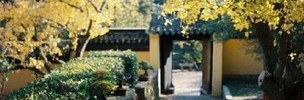 独立观察家（互fo）'s banner