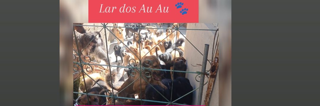 🏠Lar Dos Au-Au🐾🐶90 Cãezinhos's banner