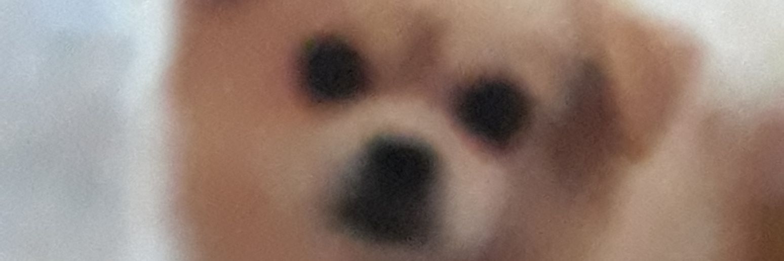 BonoanAnything's banner