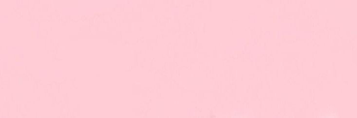 brendinha ☪︎'s banner