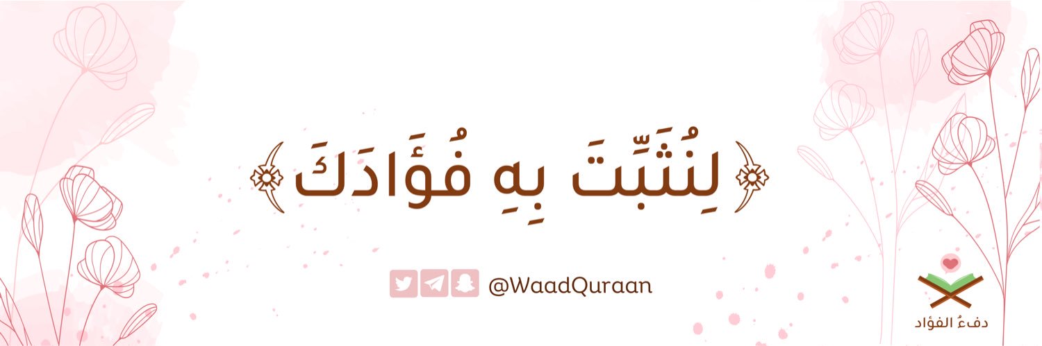 دِفءُ الفُـؤاد💗🌿.'s banner