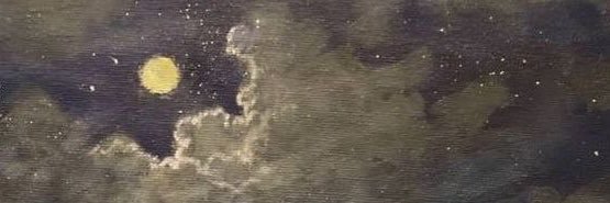 dr. namaco moon 🌖's banner