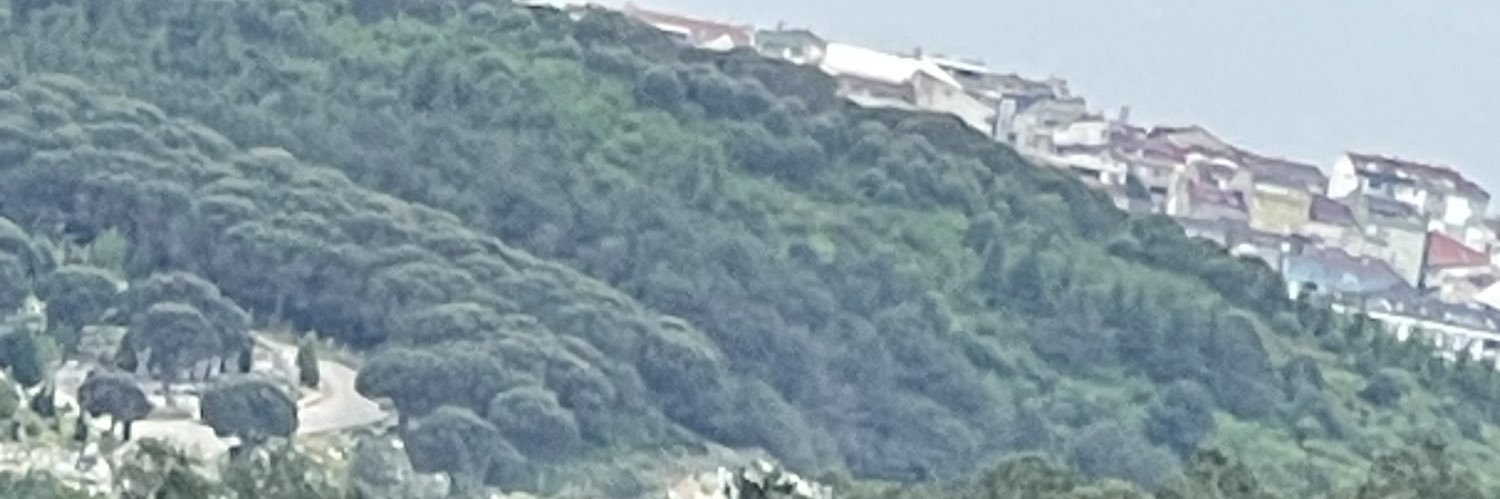 د. طارق الزمر's banner