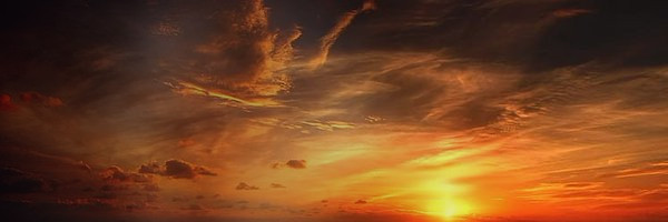 ZET's banner