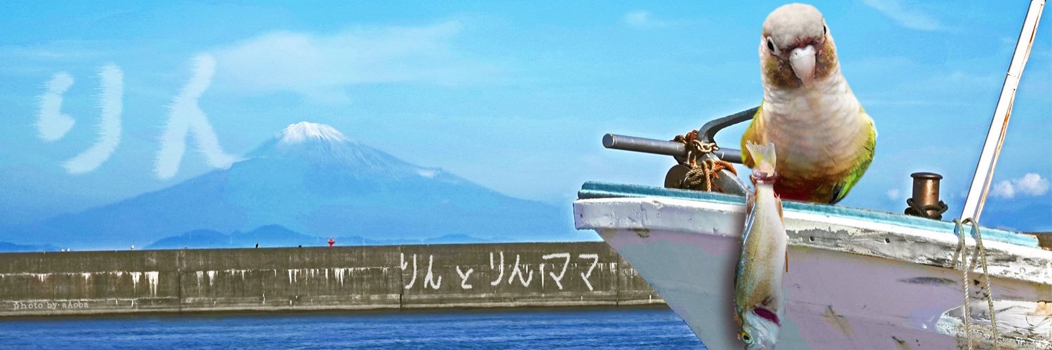 わがままりんちゃんと、ママのみゆキュリ☮️'s banner
