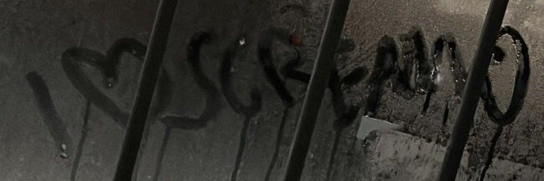 molly ⚢'s banner