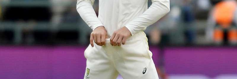 Troll Cricket's banner