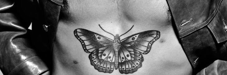 Lu🦋's banner