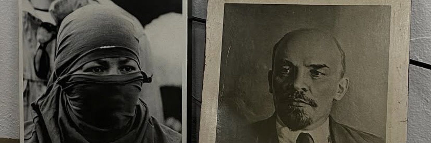 loulou reparação histérica 🇵🇸's banner