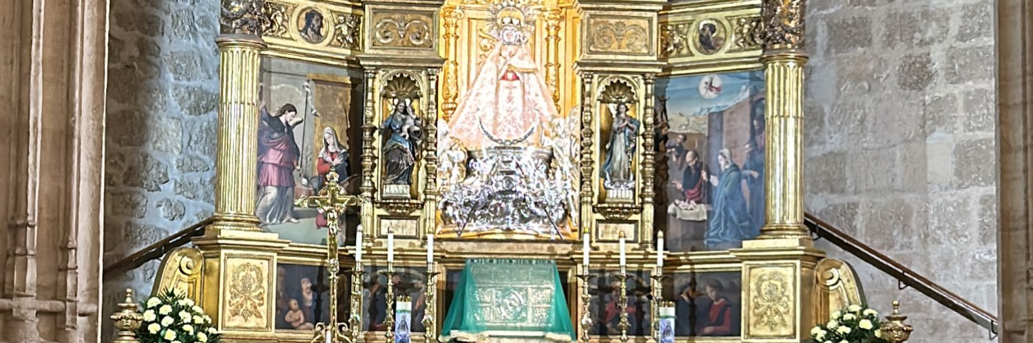 ProudManchego's banner