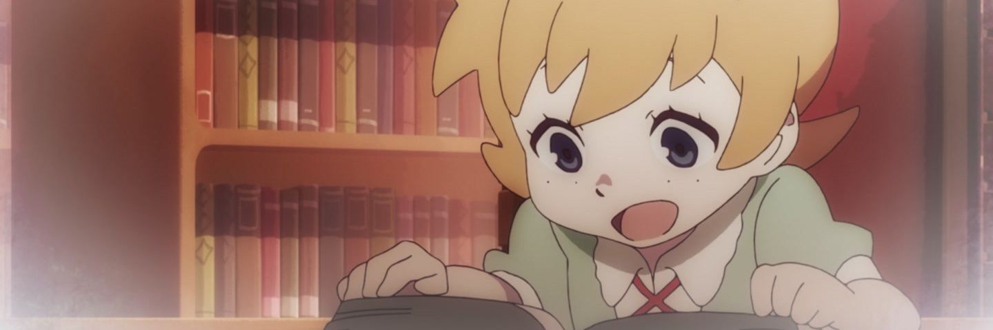 Furii's banner
