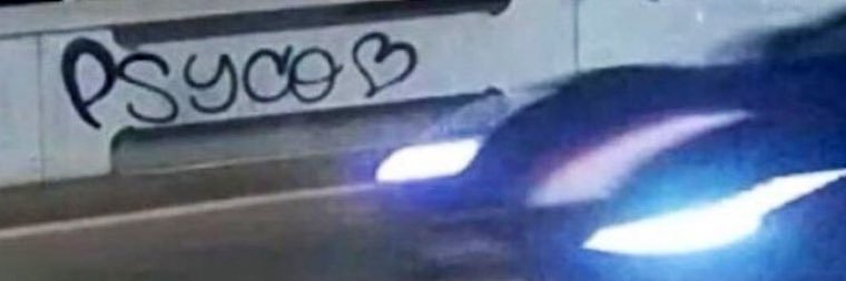 dani 🆑's banner
