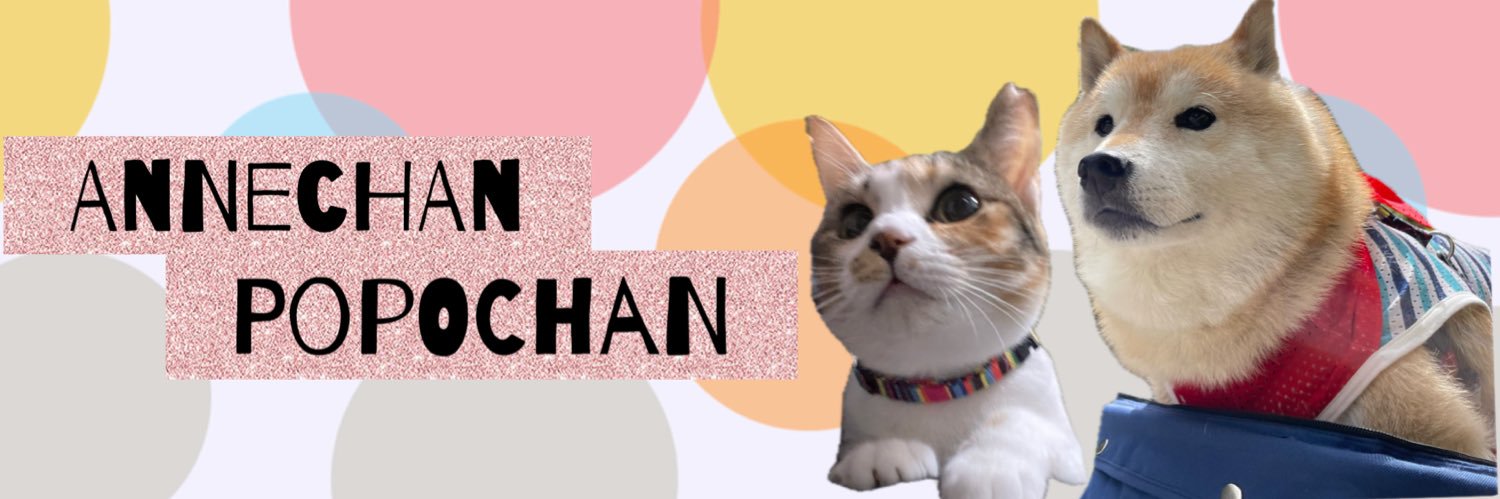 保護猫たんぽぽと虹の橋の柴犬アンちゃん's banner