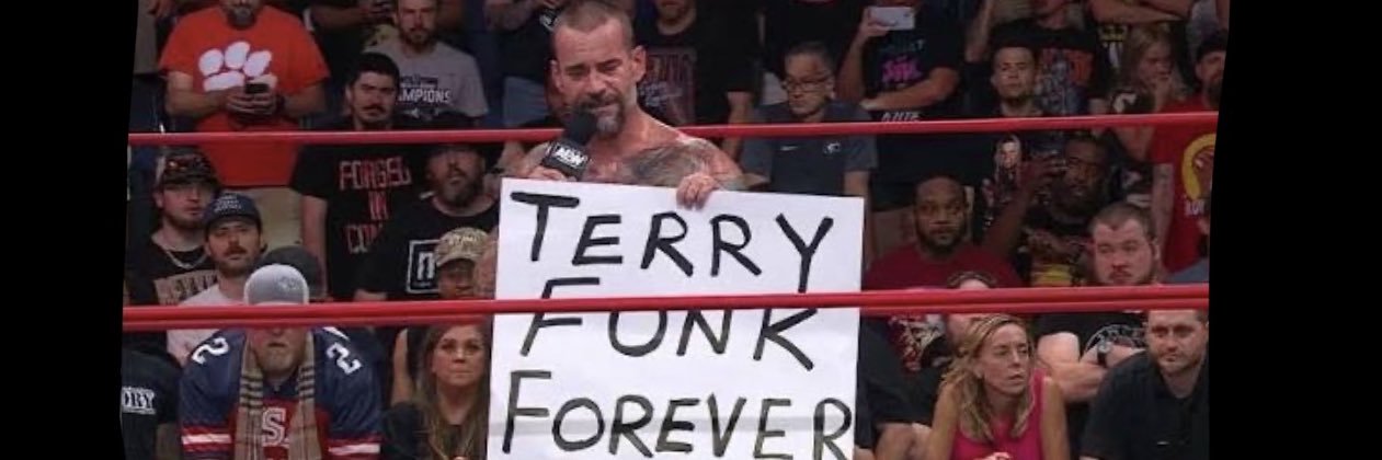 terry funk was better than your favorite's banner