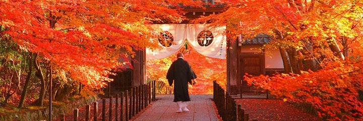 🦅¿¿ƎꓶꓨⱯƎ⛩️スマホ復活's banner